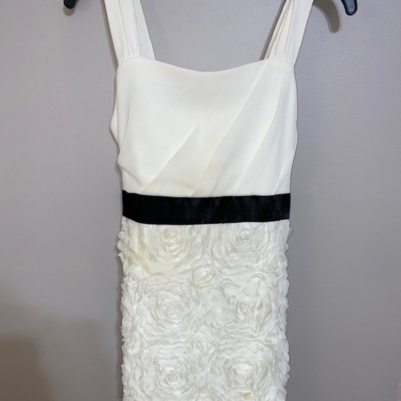 White & Black dress with Rose details on bottom - Picture 1 of 7